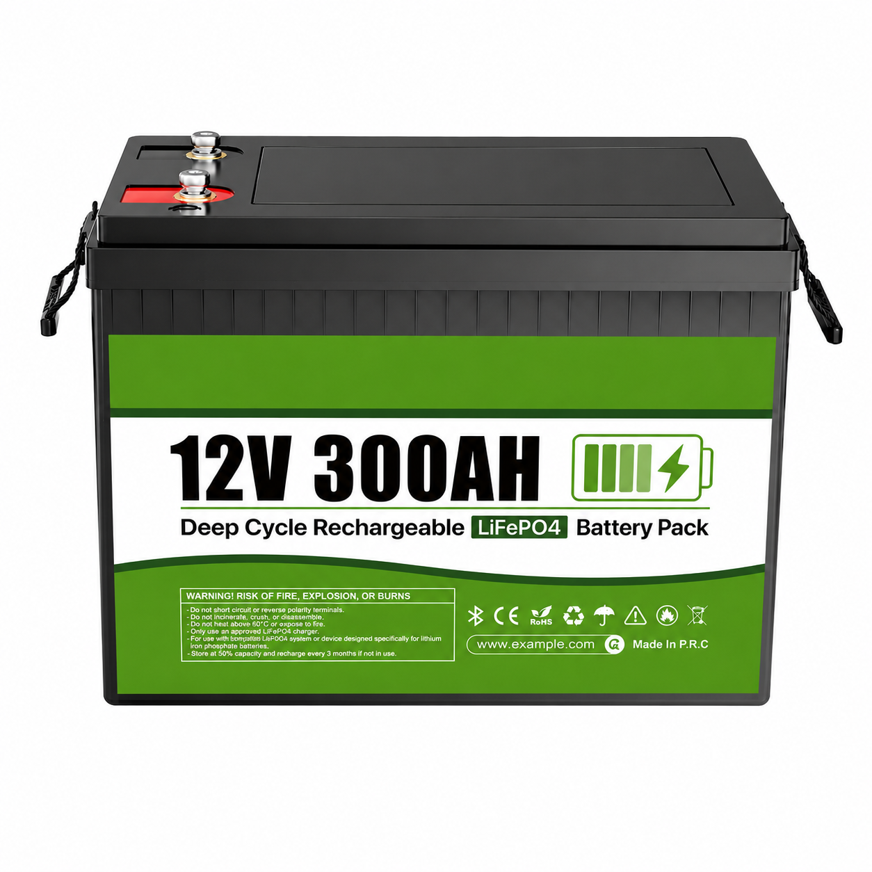 LifePo4 300Ah batteri BT